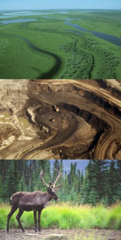collage of oilsands images