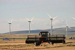 Albertans have more than 20 years' experience living near wind turbines.