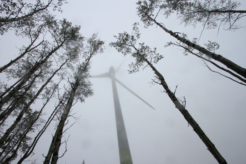 Bear Mountain Wind Park