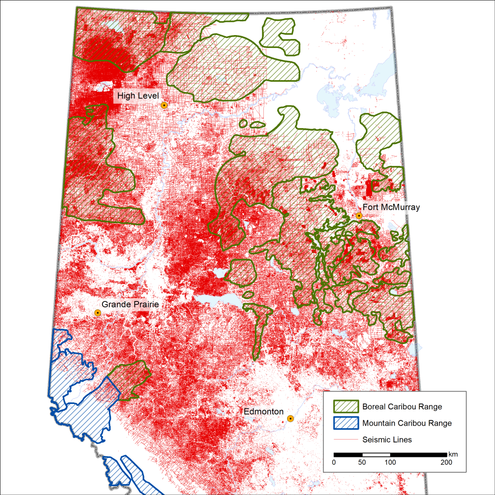 CPAWS NAB seismic lines map