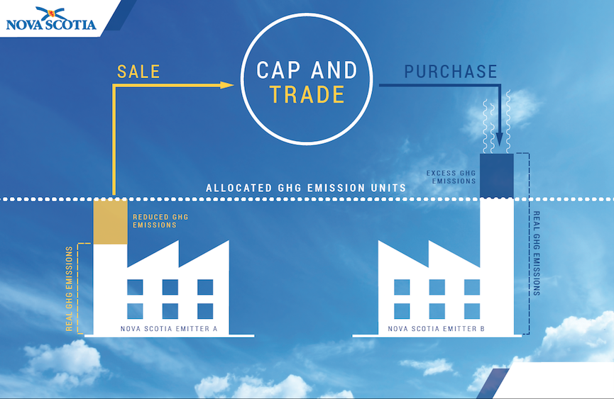 Infographic: Nova Scotia Environment