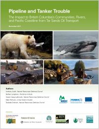 Cover of our recent report, Pipeline and Tanker Trouble.