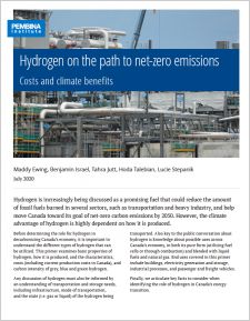 Primer cover with hydrogen facility