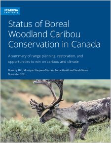 Cover of Boreal Woodland Caribou report with image of caribou