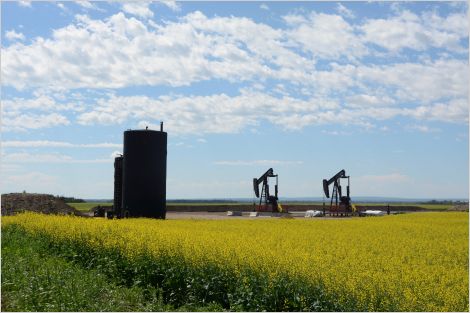Oil and gas infrastructure on rural Alberta agricultural land