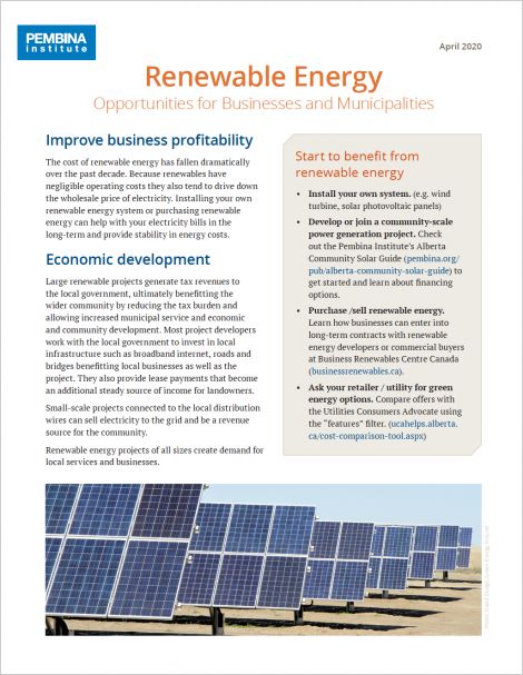 Cover of Renewable Energy primer with solar panels