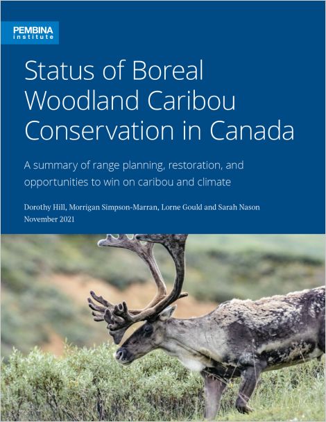Cover of Boreal Woodland Caribou report with image of caribou