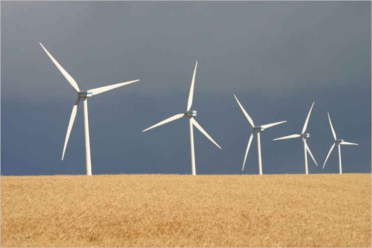 wind energy in Alberta