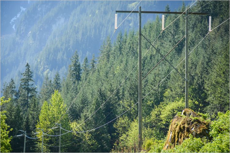 Transmission lines in front of a boreal forest backdrop. Photo by Stephen Hui.