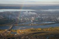 Oilsands companies have taken a gamble by purchasing leases in crticial habitat of the woodland caribou.