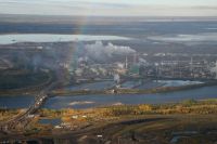 Oilsands companies have taken a gamble by purchasing leases in crticial habitat of the woodland caribou.