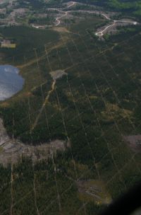 More than 45% of habitat is disturbed for 12 of the 13 caribou populations local to Alberta.