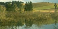 The Willamette Basin in Oregon 