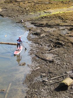 Norm Hann paddled his stand-up paddleboard 385 kilometres to raise awareness about the risk of tankers on B.C.'s North Coast.