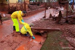 Greenpeace collects samples of toxic sludge in Hungary