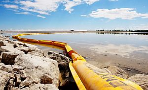 Booms collect oil spilled into the Red Deer River from a pipeline rupture in June. Canadian Press photo by Jeff McIntosh.