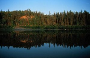 The Athabasca River just after sunrise.