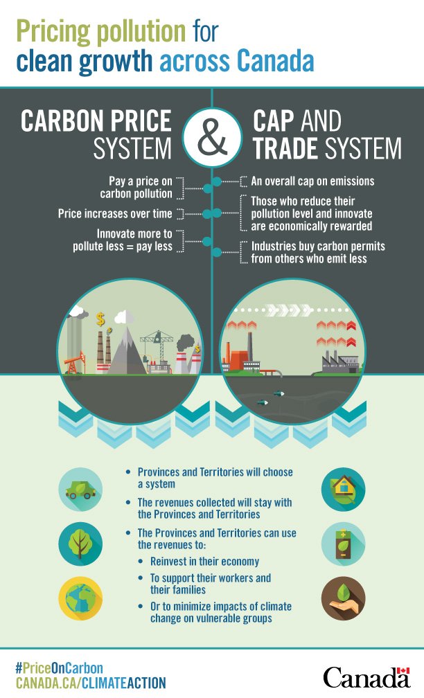 Carbon pricing infographic