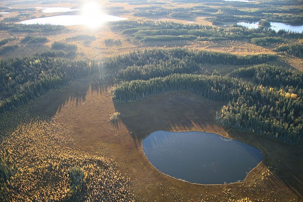 The boreal forest and the Athabasca River