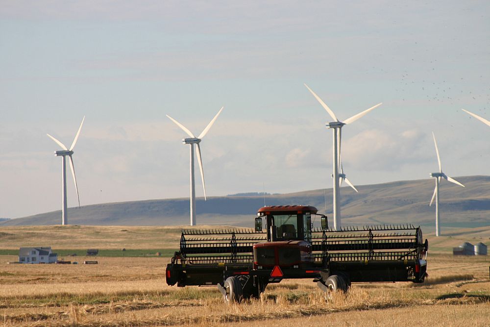 Wind turbines on agricultural land