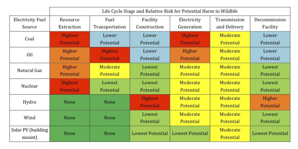 Risks to wildlife by electrical energy source