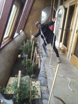 * Dawn Kinney in the greenhouse, which also serves as the main hallway in the Earthship.