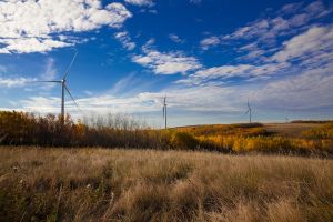 * BluEarth Renewables of Calgary worked with a consortium of Alberta School boards to enter into a long term contract to provide renewable energy at a predictable price for Alberta Schools. The contract enabled BluEarth to get financing to build the 29.2 megawatt wind project near Provost, Alberta. Photo BluEarth Renewables 