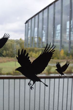 * Ataria/Salburua Wetlands Interpretation Centre in Vitoria-Gasteiz, the Basque Country, Spain. Photo: Trina Innes, Office of Sustainability, University of Alberta