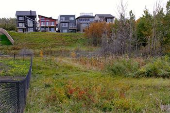 * Visible from the road are three energy efficient Echohaven homes, one Passive House and one net-zero home. You can also see the amount of green space that's been preserved. 