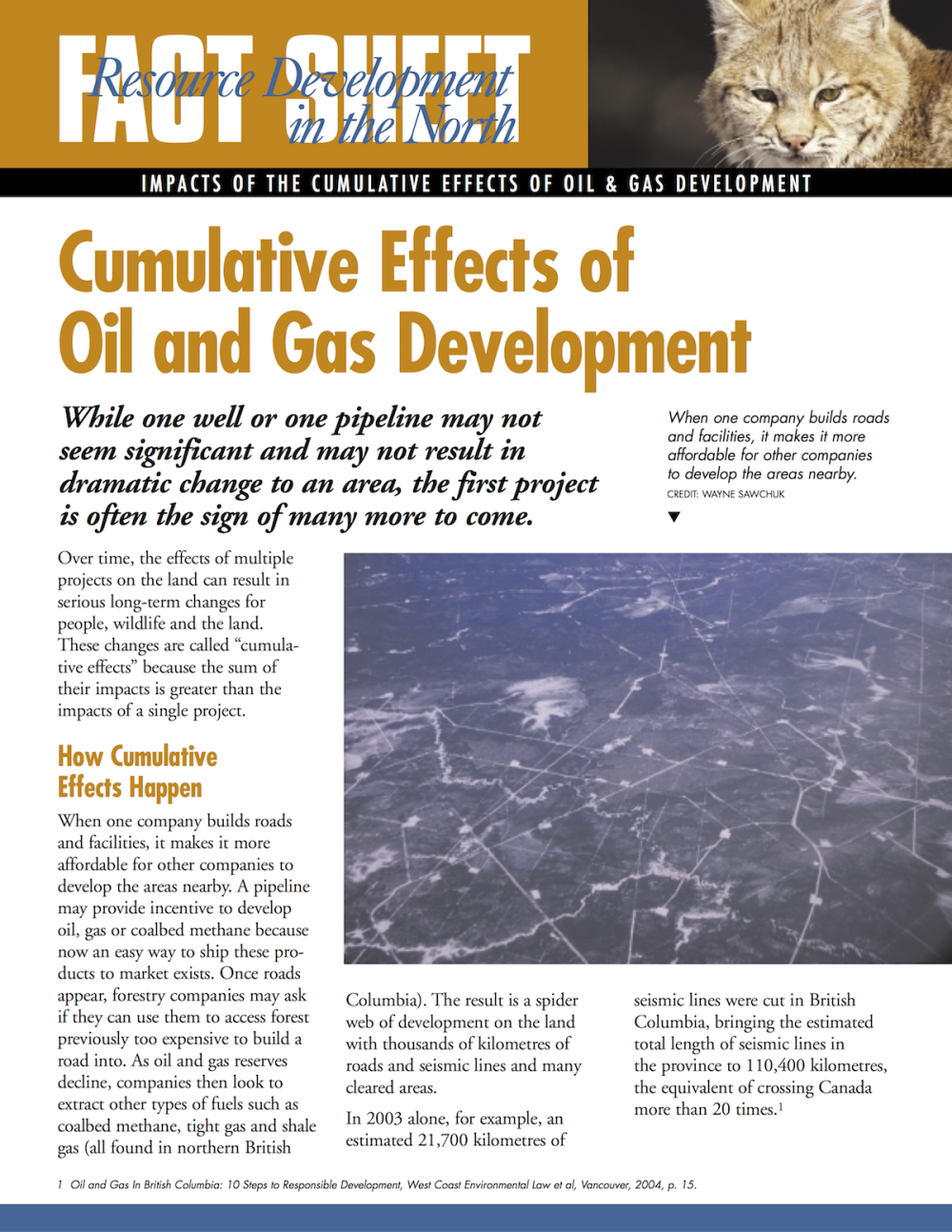 Cumulative Effects of Oil and Gas Development ...