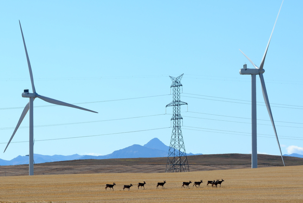 Major conclusion by Alberta Electric System Operator on Clean Electricity Regulations lacks