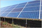 Solar panels in a field