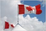 Canadian flags