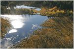 River in boreal forest, autumn