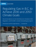 cover for regulating gas in BC - gas meters