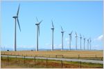 Wind turbines in Alberta