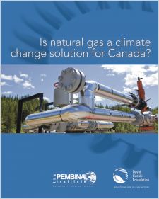 Cover of our recent report on natural gas.