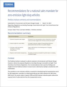 Cover for LDV sales mandate submission