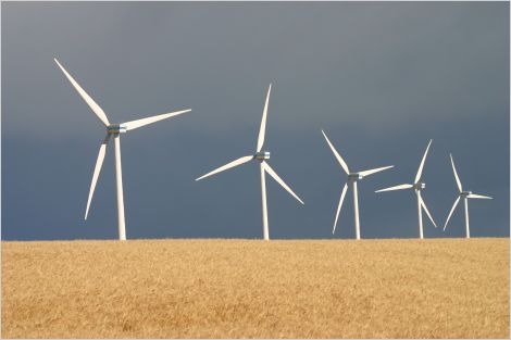 Wind turbines in Alberta