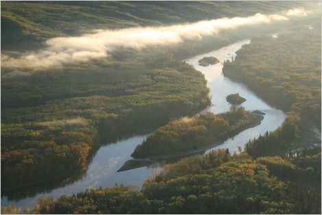 River through boreal forest