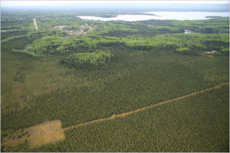 Aerial view of well pad (square, clear-cut area) with road access in the midst of the boreal forest; lake and clear sky in background
