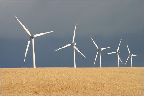 wind energy in Alberta