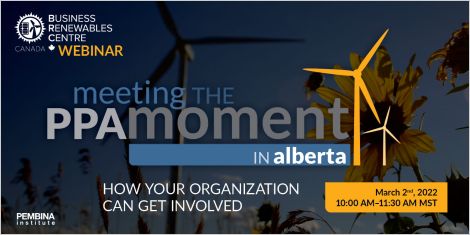 Windmills and Sunflowers