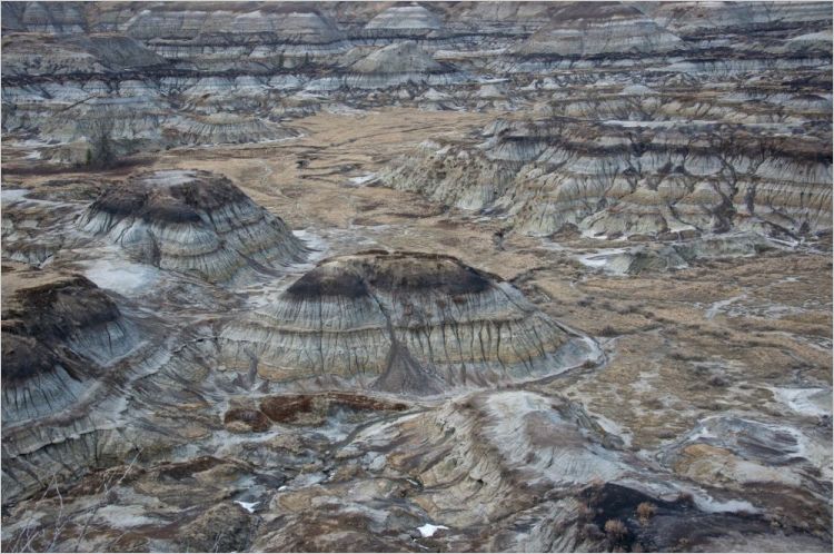 Alberta's badlands