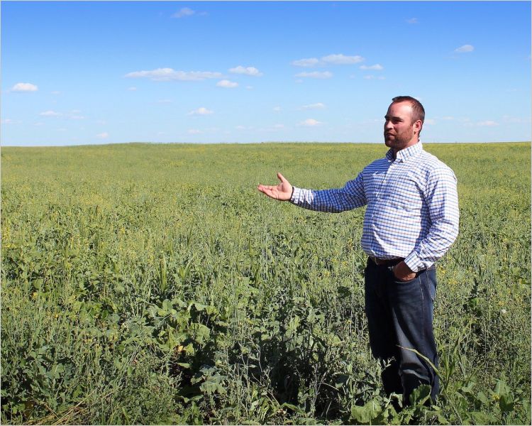 Jordan Webber, Alberta renewable energy advocate