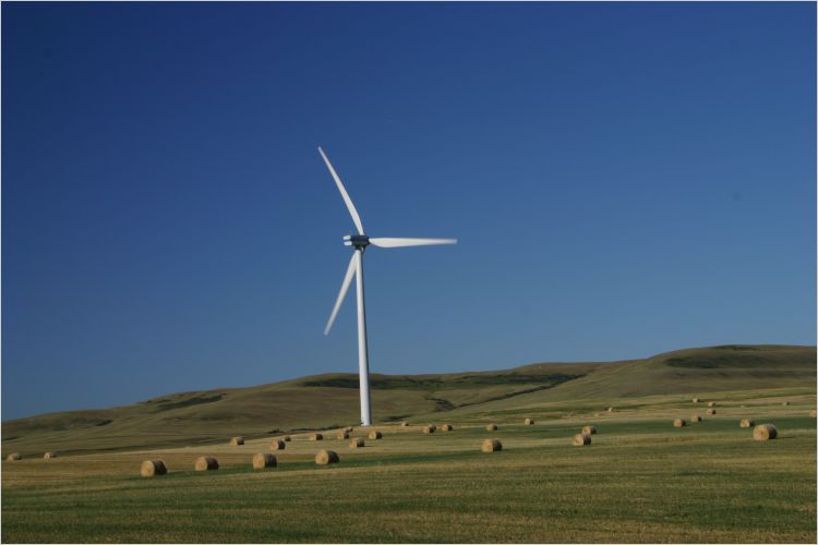 wind turbine in field with hay bales