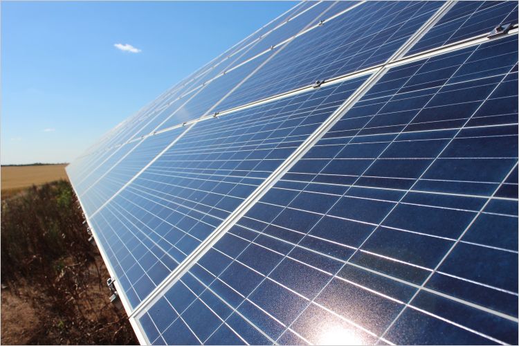 Panels at solar farm in Alberta