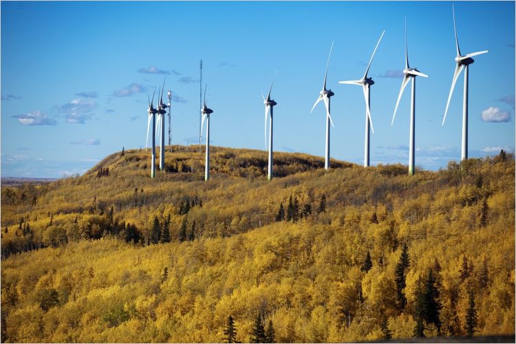 Wind farm in Dawson Creek, B.C.