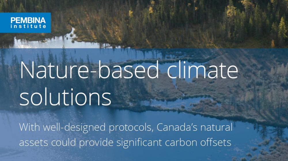 Nature-based climate solutions | Pembina Institute
