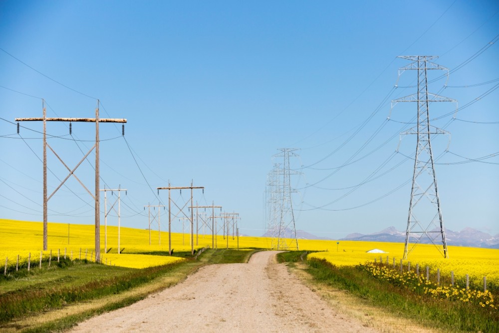 Transmission lines along a gravel road and canola fields in Alberta